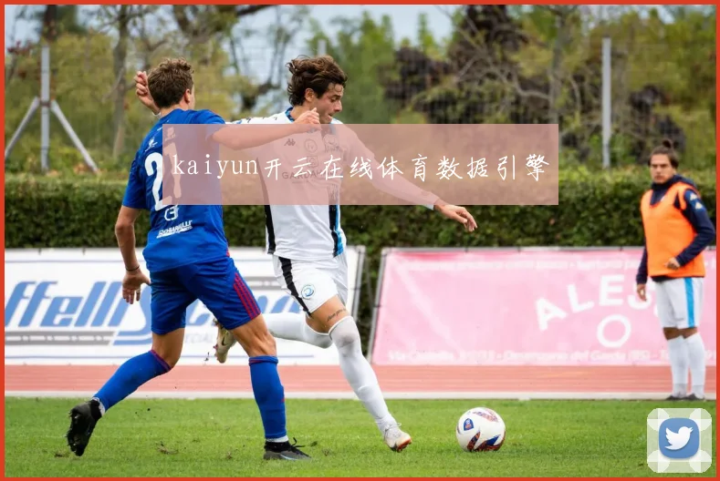 kaiyun开云在线体育数据引擎