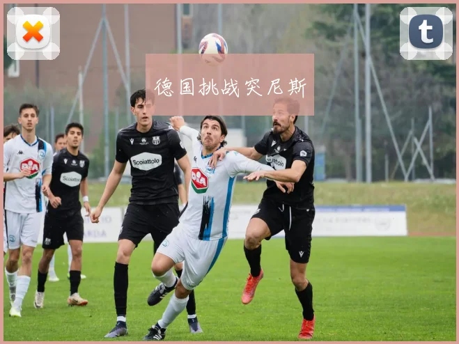 德国挑战突尼斯