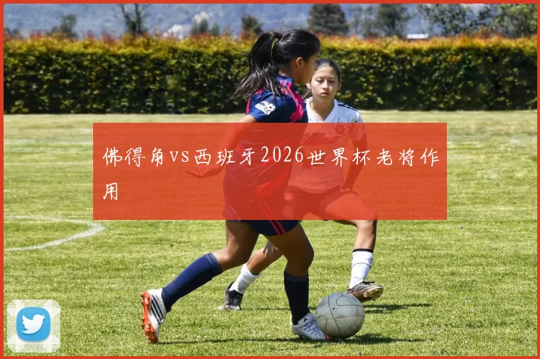 佛得角vs西班牙2026世界杯老将作用
