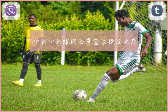 cc彩cc彩球网会员登录投注大厅