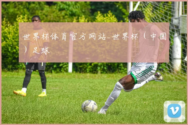 世界杯体育官方网站_世界杯（中国）足球