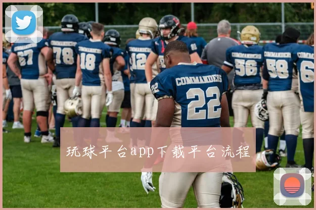 玩球平台app下载平台流程