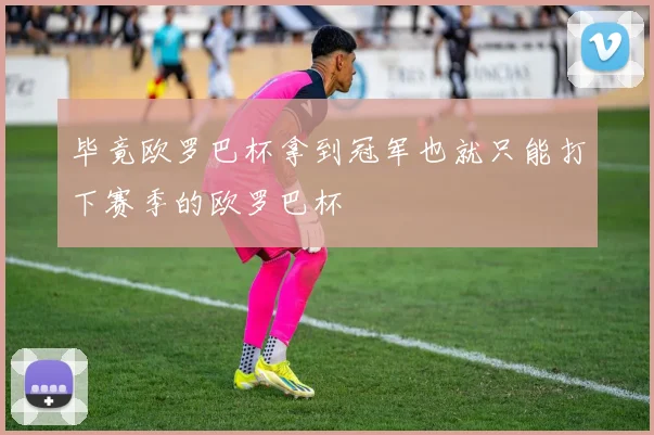 毕竟欧罗巴杯拿到冠军也就只能打下赛季的欧罗巴杯