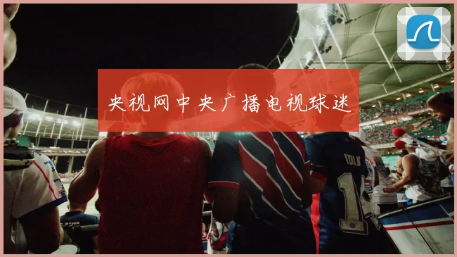央视网中央广播电视球迷