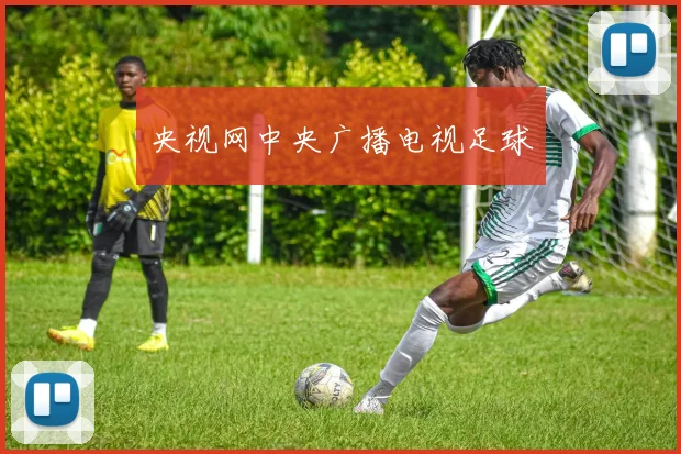 央视网中央广播电视足球