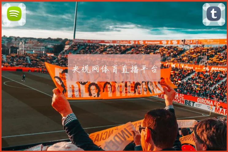 央视网体育直播平台
