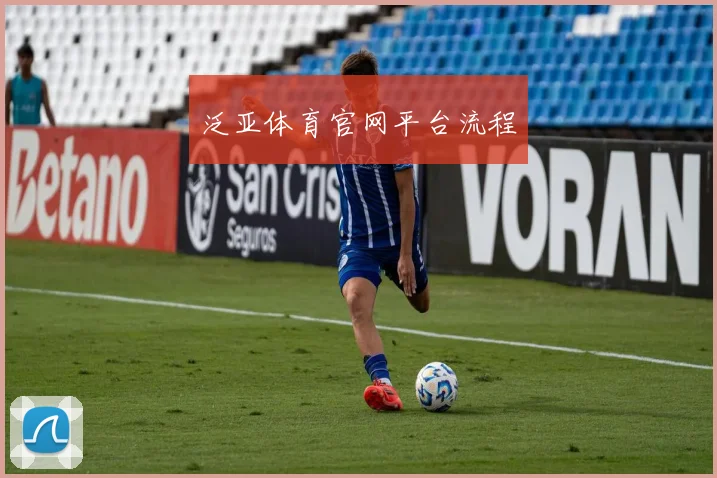 泛亚体育官网平台流程
