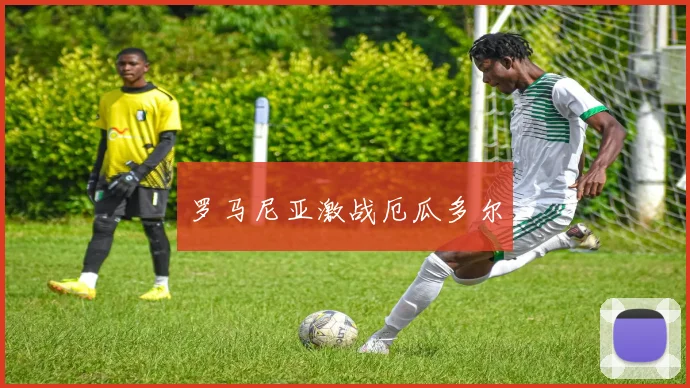 罗马尼亚激战厄瓜多尔
