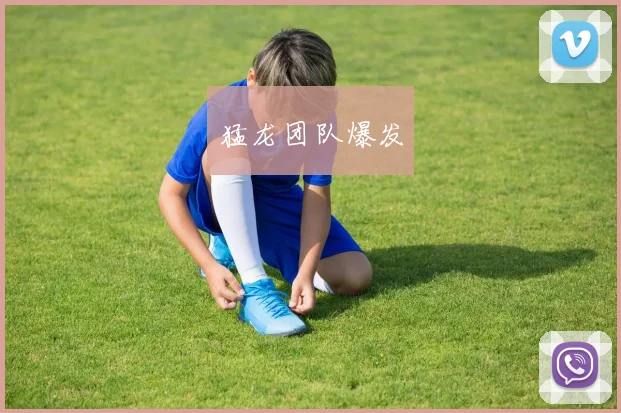 猛龙团队爆发