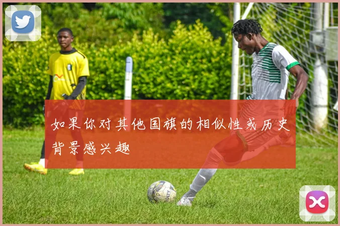 如果你对其他国旗的相似性或历史背景感兴趣