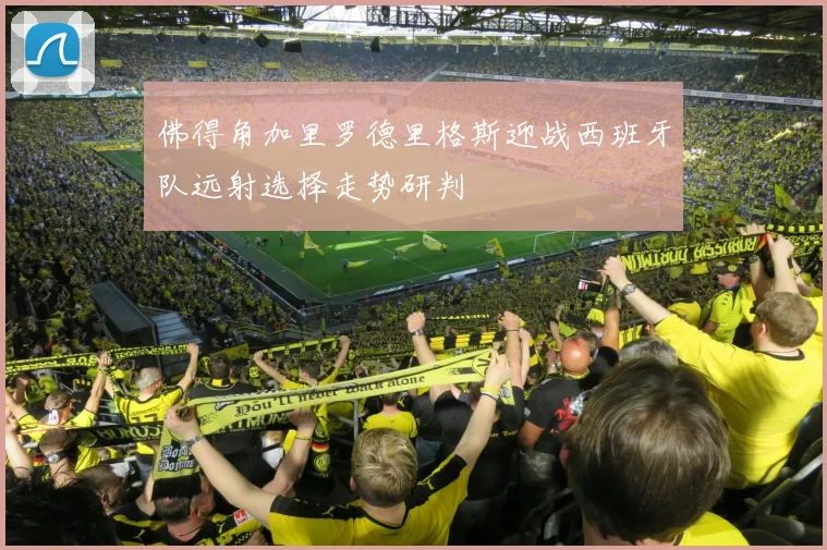 佛得角加里罗德里格斯迎战西班牙队远射选择走势研判