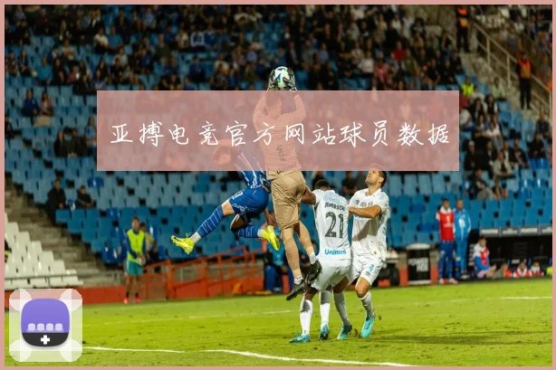 亚搏电竞官方网站球员数据