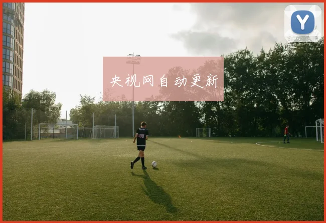 央视网自动更新
