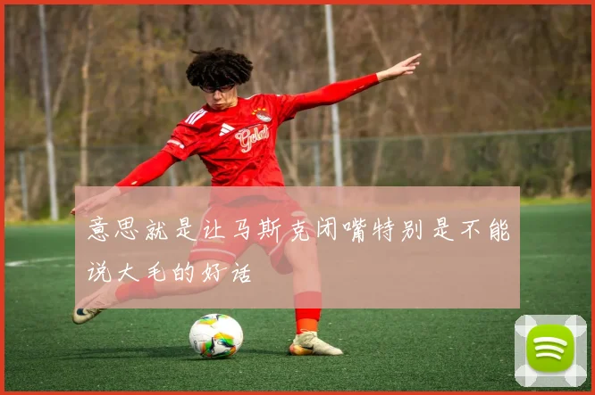 意思就是让马斯克闭嘴特别是不能说大毛的好话