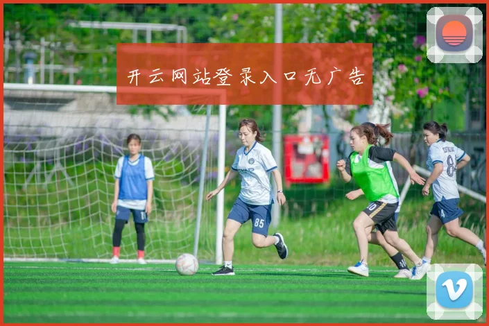 开云网站登录入口无广告
