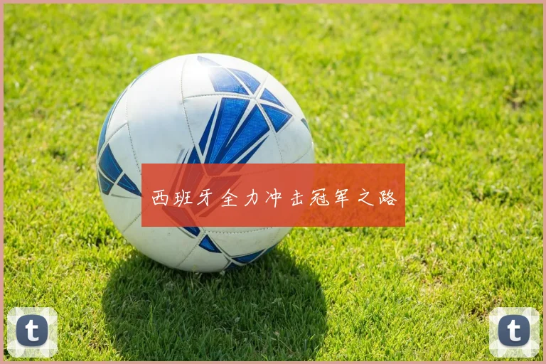 西班牙全力冲击冠军之路