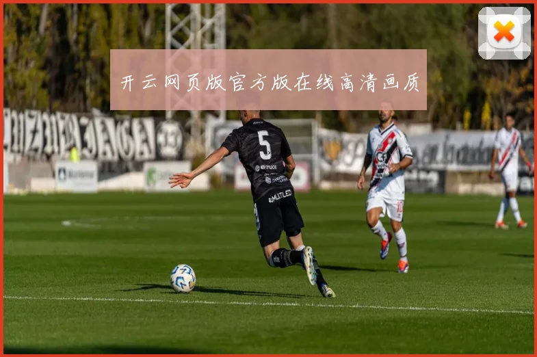 开云网页版官方版在线高清画质