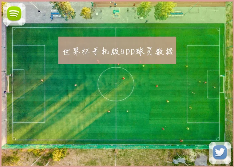 世界杯手机版app球员数据