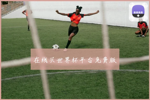 在线买世界杯平台免费版