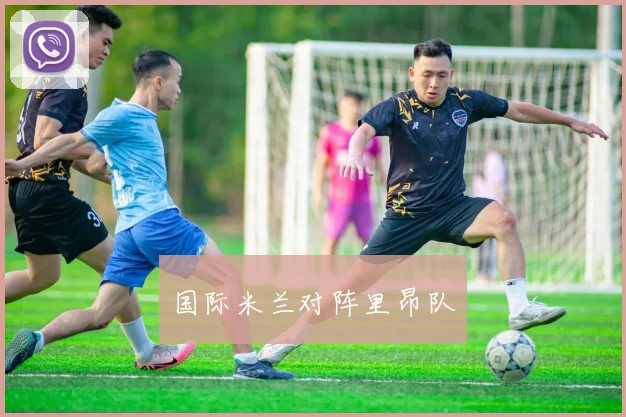 国际米兰对阵里昂队