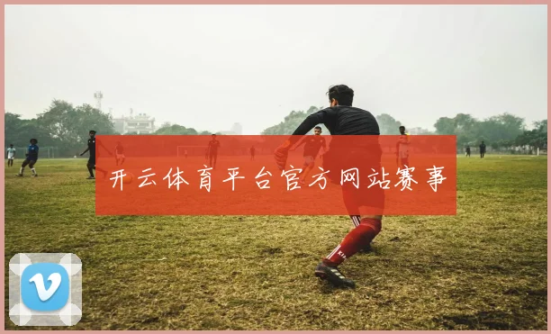 开云体育平台官方网站赛事