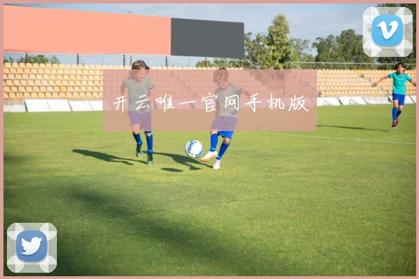 开云唯一官网手机版