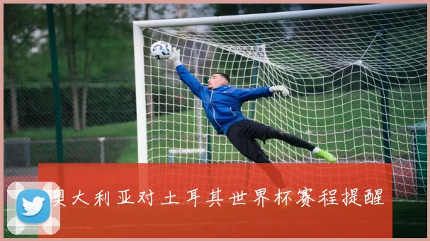 澳大利亚对土耳其世界杯赛程提醒