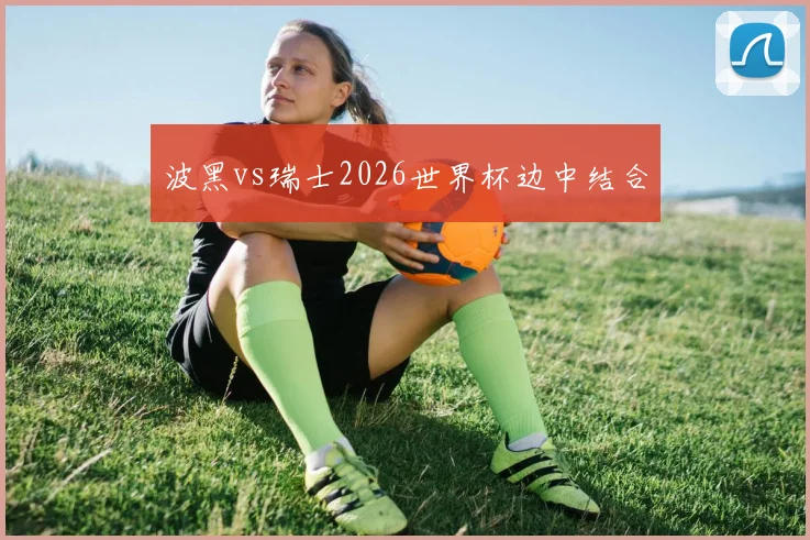 波黑vs瑞士2026世界杯边中结合