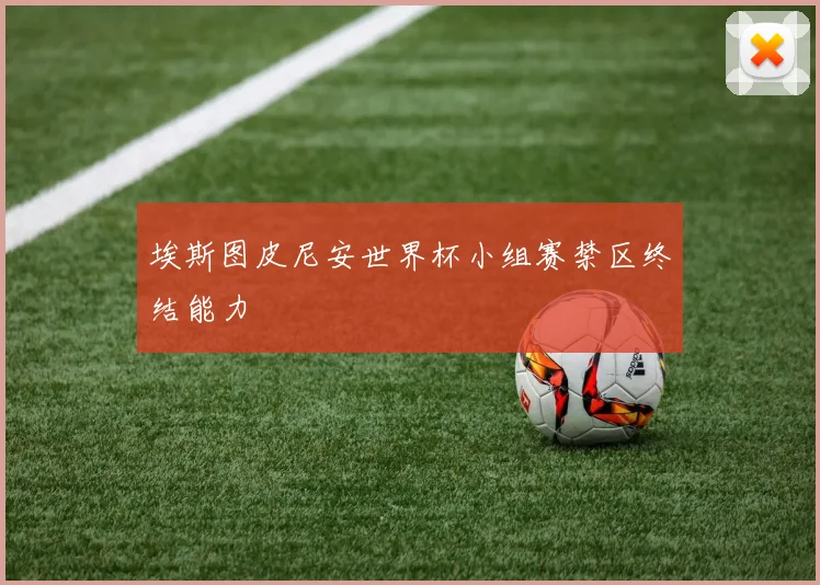 埃斯图皮尼安世界杯小组赛禁区终结能力