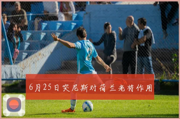 6月25日突尼斯对荷兰老将作用