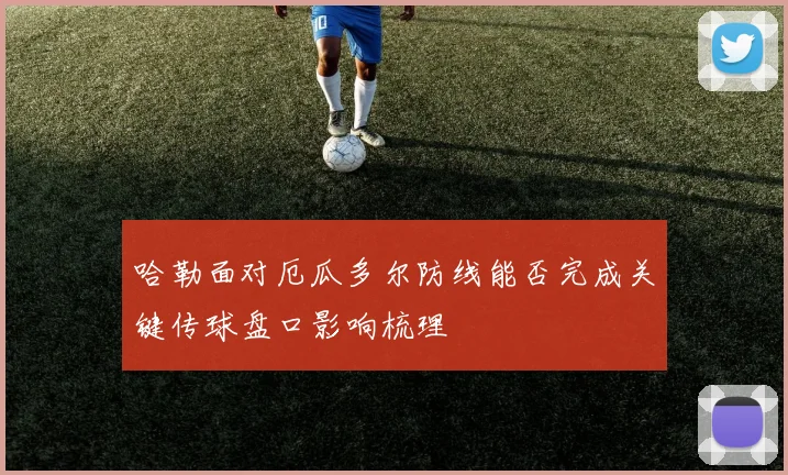 哈勒面对厄瓜多尔防线能否完成关键传球盘口影响梳理